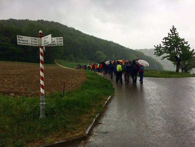 Eine Wandergruppe maschiert bei Regen durch die Region Basellandschaft, auf einer Schotterstrasse bei einer Abzweigung mit Wegweisern vorbei. Im Hintergrund ein bewaldeter Hügel. Der Himmel ist voller Regenwolken.