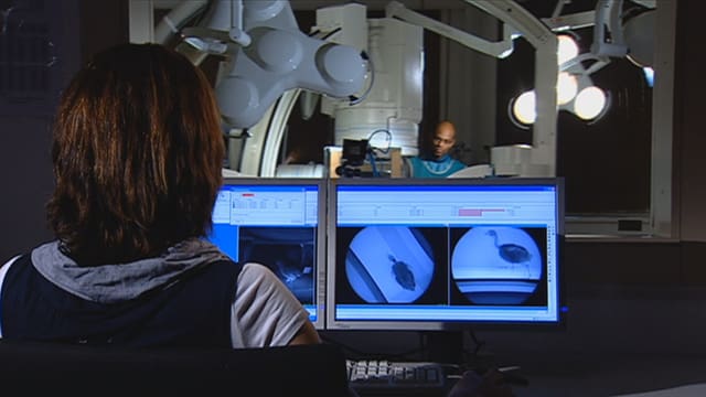 Eine Mitarbeiterin von Fischer analysiert im Labor der Uni in Jena die Filmaufnahmen aus der Röntgenanlage. Eine Mitarbeiterin von Fischer analysiert im Labor der Uni in Jena die Filmaufnahmen aus der Röntgenanlage.