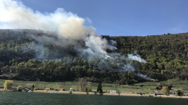 Rauch über Wald am Bielersee Rauch über Wald am Bielersee