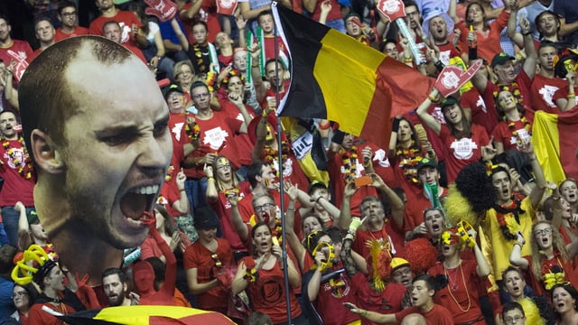 Die Belgier feiern mit einem riesigen Porträt von Steve Darcis. Die Belgier feiern mit einem riesigen Porträt von Steve Darcis.