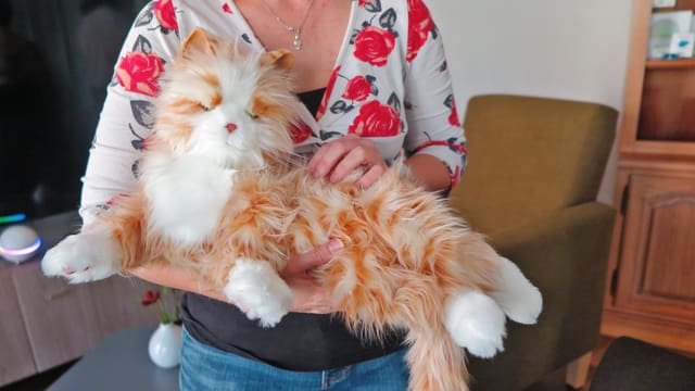 Eine Frau hält eine Roboterkatze auf ihrem Arm. Eine Frau hält eine Roboterkatze auf ihrem Arm.