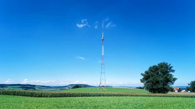 Eine filigrane Sendeantenne auf einem Feld. Eine filigrane Sendeantenne auf einem Feld.