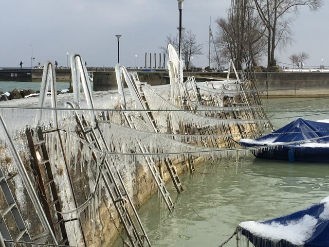 Vereister Steg am Bodensee. Vereister Steg am Bodensee.