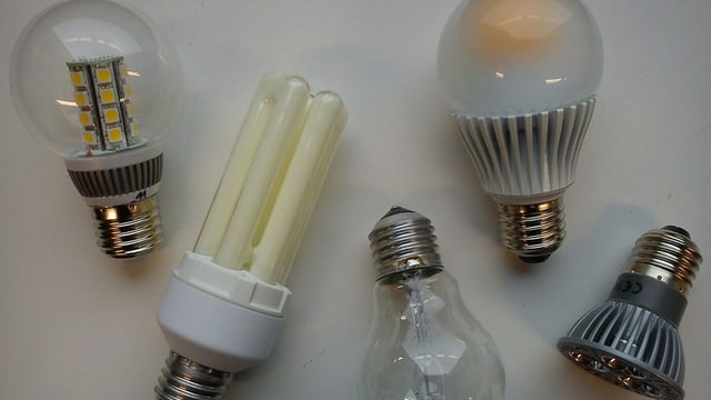 Verschiedene Energiesparlampen liegen auf einer weissen Platte Verschiedene Energiesparlampen liegen auf einer weissen Platte