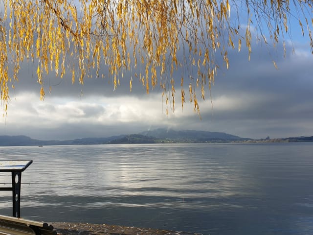 Bank am See, Wolkenlücken am Himmel.