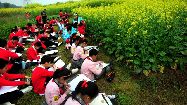 Eine Schulklasse sitzt auf einer Wiese über ihre Hefte gebeugt. Eine Schulklasse sitzt auf einer Wiese über ihre Hefte gebeugt.