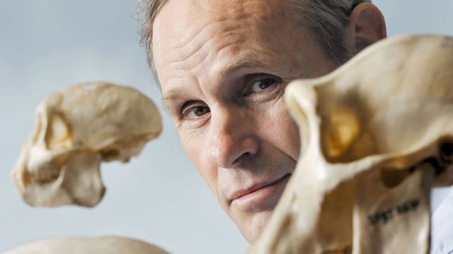 Video «Unter Orang-Utans – Carel van Schaik, Anthropologe» abspielen Video «Unter Orang-Utans – Carel van Schaik, Anthropologe» abspielen