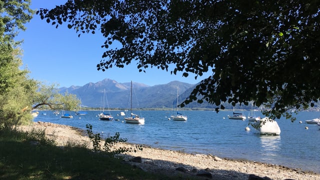 Blick unter den Bäumen hindurch auf den Lago Maggiore. Blick unter den Bäumen hindurch auf den Lago Maggiore.