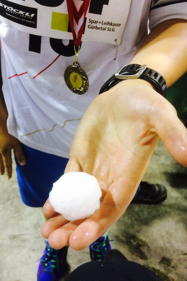 Hagelkorn auf Hand