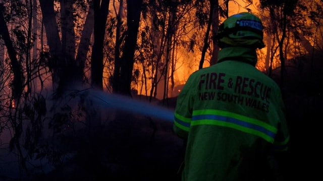 Feuerwehrmann vor einem brennenden Waldstück Feuerwehrmann vor einem brennenden Waldstück