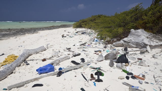 mit angeschwemmtem Müll verschmutzter Sandstrand. mit angeschwemmtem Müll verschmutzter Sandstrand.