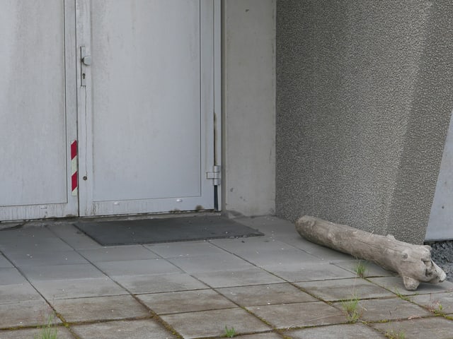 Eingang zu den beiden Seekabeln. Das Holz hat nichts zu bedeuten. Eingang zu den beiden Seekabeln. Das Holz hat nichts zu bedeuten.