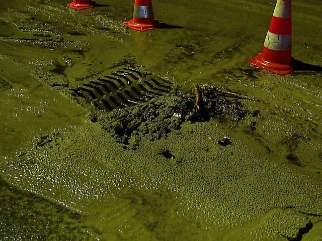 Schlamm bei einem Strassenabfluss in Luzern