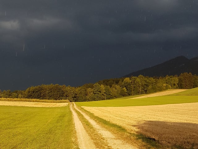 Sonne scheint auf Feld. Im Hintergrund kommen schwarze Gewitterwolken auf und man erkennt erste Tropfen.