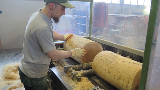 Holzstämme werden verarbeitet Holzstämme werden verarbeitet