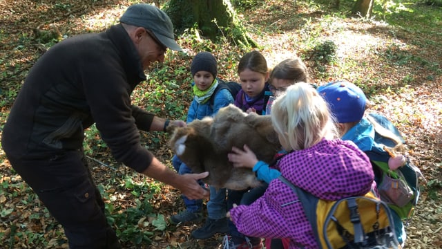 Kinder betasten ein Fell. Kinder betasten ein Fell.