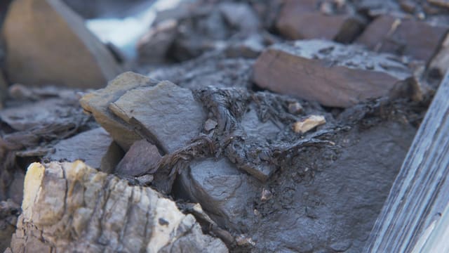 Das geknöpfte Bastgeflecht auf dem Schnidejoch Das geknöpfte Bastgeflecht auf dem Schnidejoch