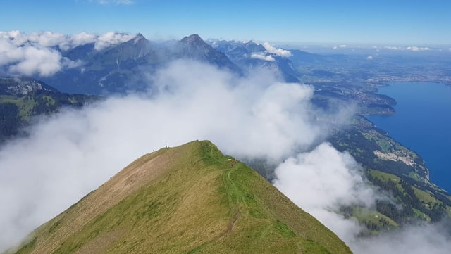Blick vom Morgenberghorn auf den Niesen und den Thunersee. Blick vom Morgenberghorn auf den Niesen und den Thunersee.