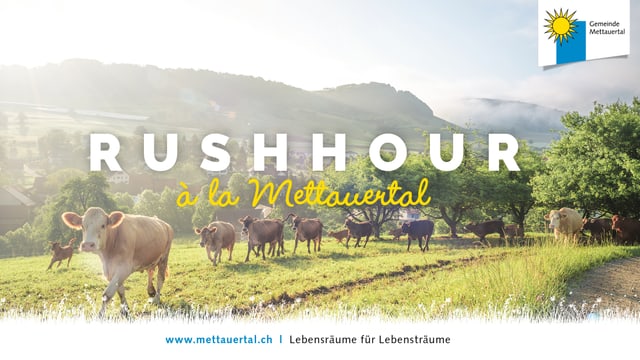 Neue leute kennenlernen aargau