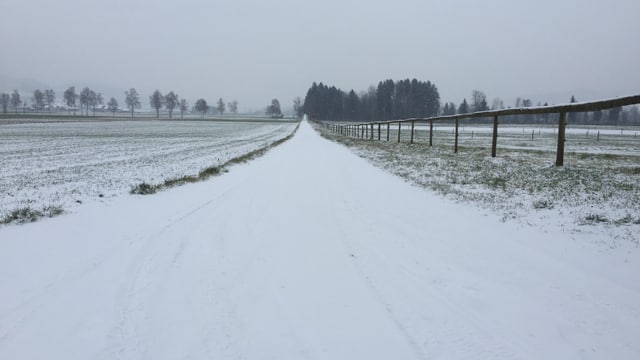 Zugeschneiter Feldweg durch das Wauwiler Moos. Zugeschneiter Feldweg durch das Wauwiler Moos.