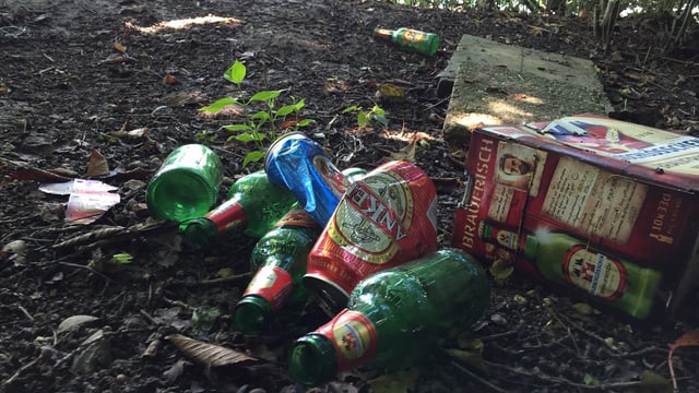 In den Wald geworfene Bierflaschen und Aludosen In den Wald geworfene Bierflaschen und Aludosen