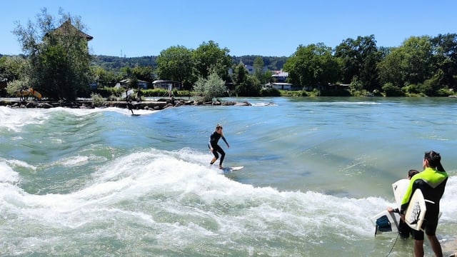 Surfer Surfer