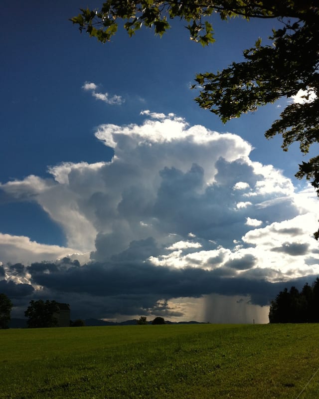 Blauer Himmel, grüne Wiese. Im Zentrum des Bildes eine riesige Blumenkohlwolke. Unten fällt wie ein Vorhang der kräftige Regen heraus.