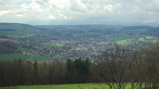 Bild vom Homberg auf die Gemeinde Reinach im Kanton Aargau: Im Vordergrund sieht man Sträucher und einen Wald, dahinter liegt Reinach. Bild vom Homberg auf die Gemeinde Reinach im Kanton Aargau: Im Vordergrund sieht man Sträucher und einen Wald, dahinter liegt Reinach.