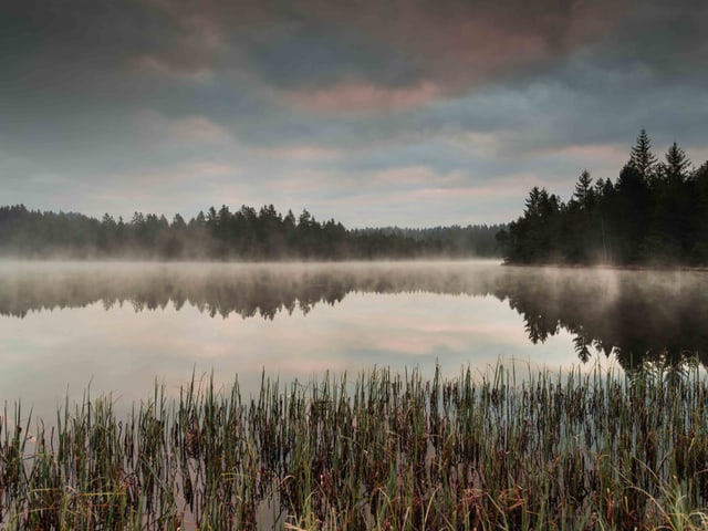 Im Teich spiegeln sich Wolken und es steigen Dampfwolken auf. Nadelbäume säumen das Ufer. Thomas Mosimann