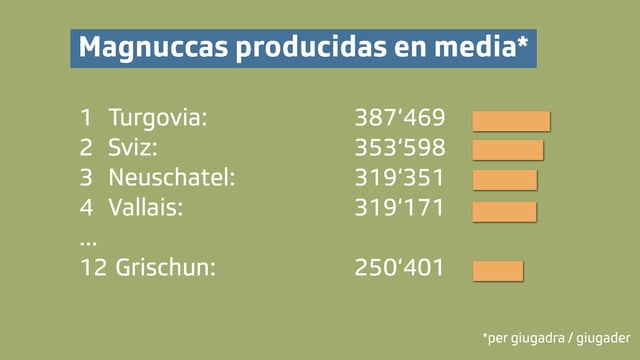 grafica che mussa il grischun sin plazza dus. I va per Magnuccas producidas en media per giuadra / giugader grafica che mussa il grischun sin plazza dus. I va per Magnuccas producidas en media per giuadra / giugader