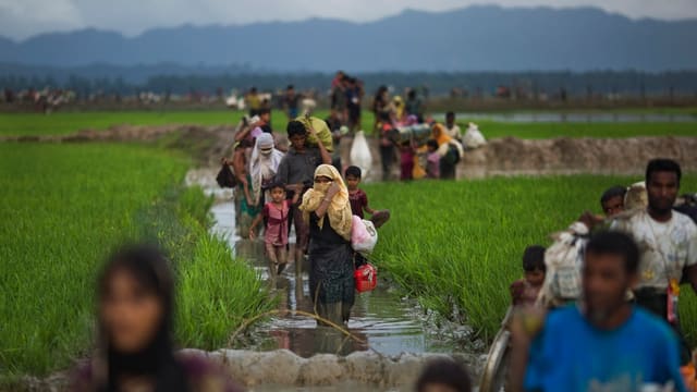 Rohingya auf der Flucht nach Bangladesch. Rohingya auf der Flucht nach Bangladesch.