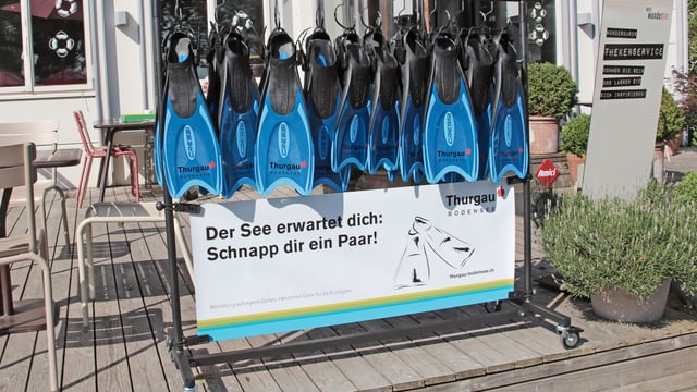 Thurgau Tourismus verleiht in disem Sommer gratis Schwimmflossen. Hier im Bild das Hotel Wunderbar in Arbon. Thurgau Tourismus verleiht in disem Sommer gratis Schwimmflossen. Hier im Bild das Hotel Wunderbar in Arbon.