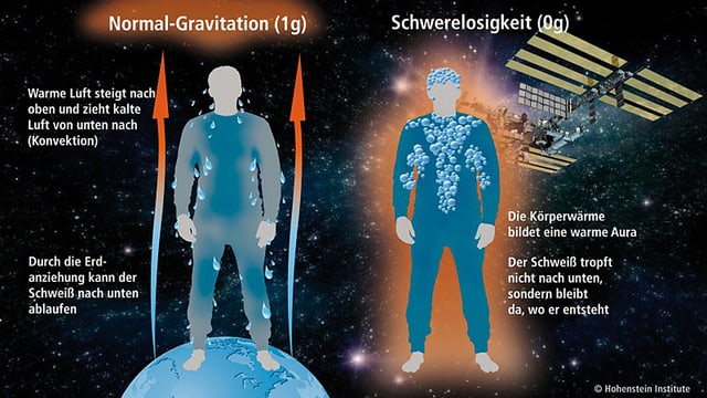 Grafik Grafik