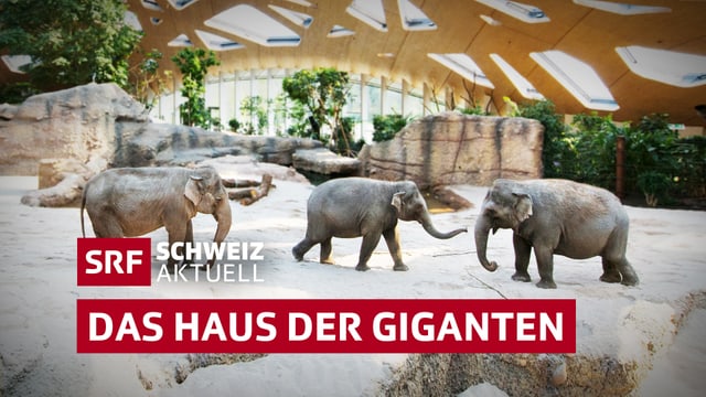 Keyvisual Das Haus der Giganten. Keyvisual Das Haus der Giganten.