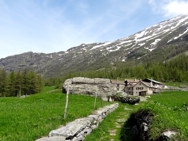 Am Himmel zeigen sich dünne, weisse Wolkenfelder. Im Vordergrund ist eine grünse Wiese sowie ein Weg begrenzt durch kleine Steinmauern zu erkennen. Der Weg führt zu ein paar Häusern. Im Hintergrund ist ein Berghang und davor viele Tannen zu sehen.