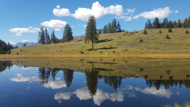 Blick auf den See bei Schloss Tarasp Blick auf den See bei Schloss Tarasp
