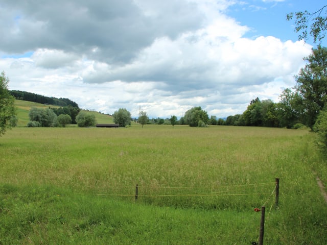 Die Reussegg bei Sins, Wiesland an der Reuss. Die Reussegg bei Sins, Wiesland an der Reuss.