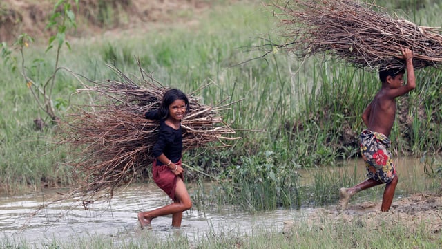 Mädchen und Junge der Rohingya-Minderheit sammeln Holz Mädchen und Junge der Rohingya-Minderheit sammeln Holz