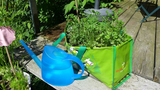 Ein Tragtasche wurde zum Blumentopf umfunktioniert. Ein Tragtasche wurde zum Blumentopf umfunktioniert.