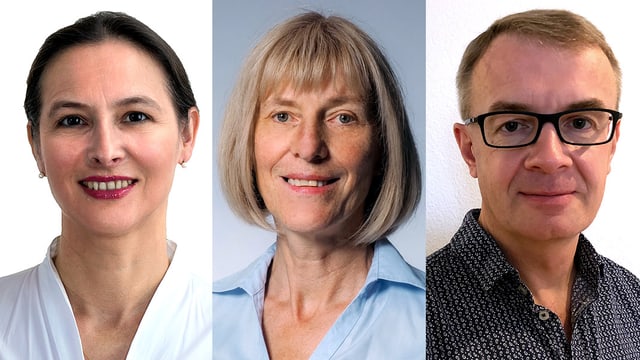 Experten Chat Verstarkt Ein Horgerat Meinen Tinnitus Puls Srf