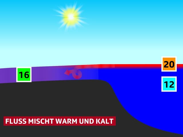 Zeichnung, welche schematisch die Vermischung darstellt. Zeichnung, welche schematisch die Vermischung darstellt.