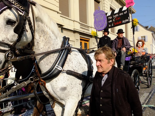 Pferd mit Chaise