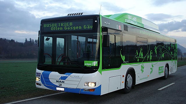 Bus des Busbetriebs OGG auf einer Landstrasse Bus des Busbetriebs OGG auf einer Landstrasse