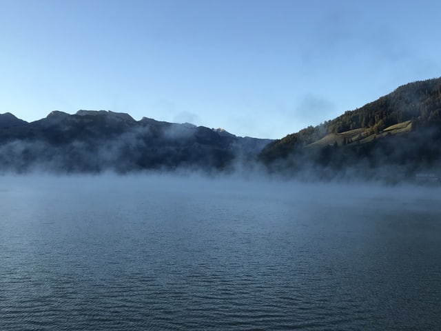 Seerauch Seerauch