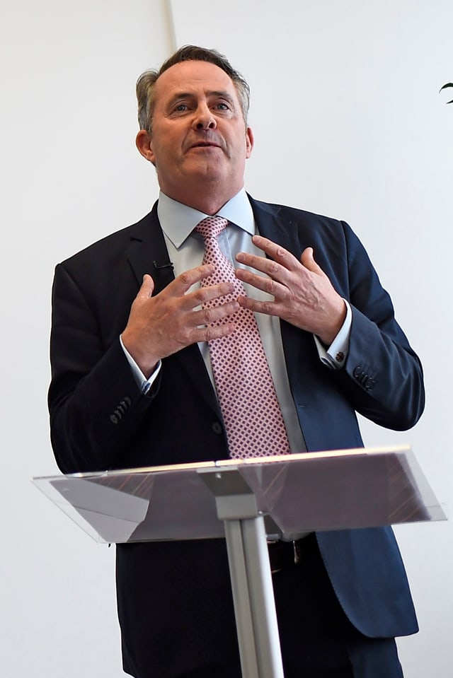 Der frühere britische Verteidigungsminister Liam Fox. Der frühere britische Verteidigungsminister Liam Fox.