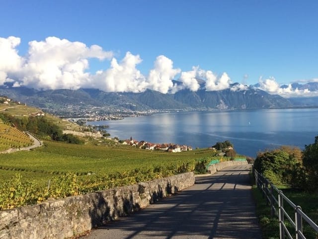Blick über den Genfersee. Die Weinreben auf der linken Seite stehen in der Sonne. An den Hängen kleben kleine Haufenwolken, sonst ist der Himmel klar.