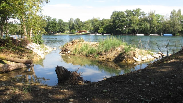 Ein Teich für Jungfische mit Auslauf in den Rhein. Ein Teich für Jungfische mit Auslauf in den Rhein.