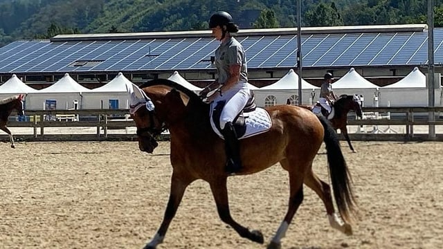 Reiterin reitet auf Pferd Reiterin reitet auf Pferd