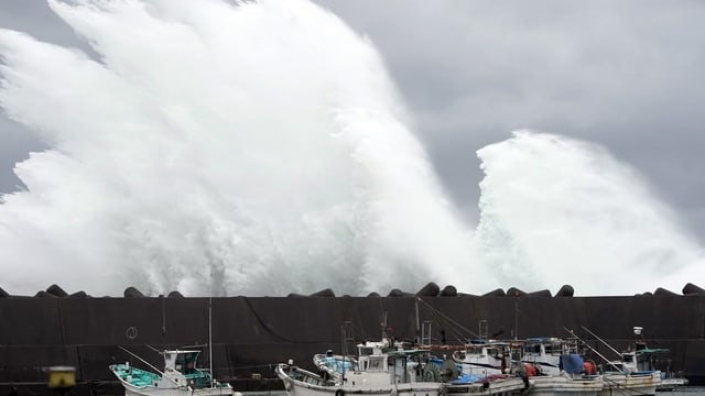 Mega-Welle Mega-Welle