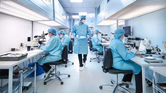 wissenschaftliche Mitarbeiter forschen im Labor wissenschaftliche Mitarbeiter forschen im Labor